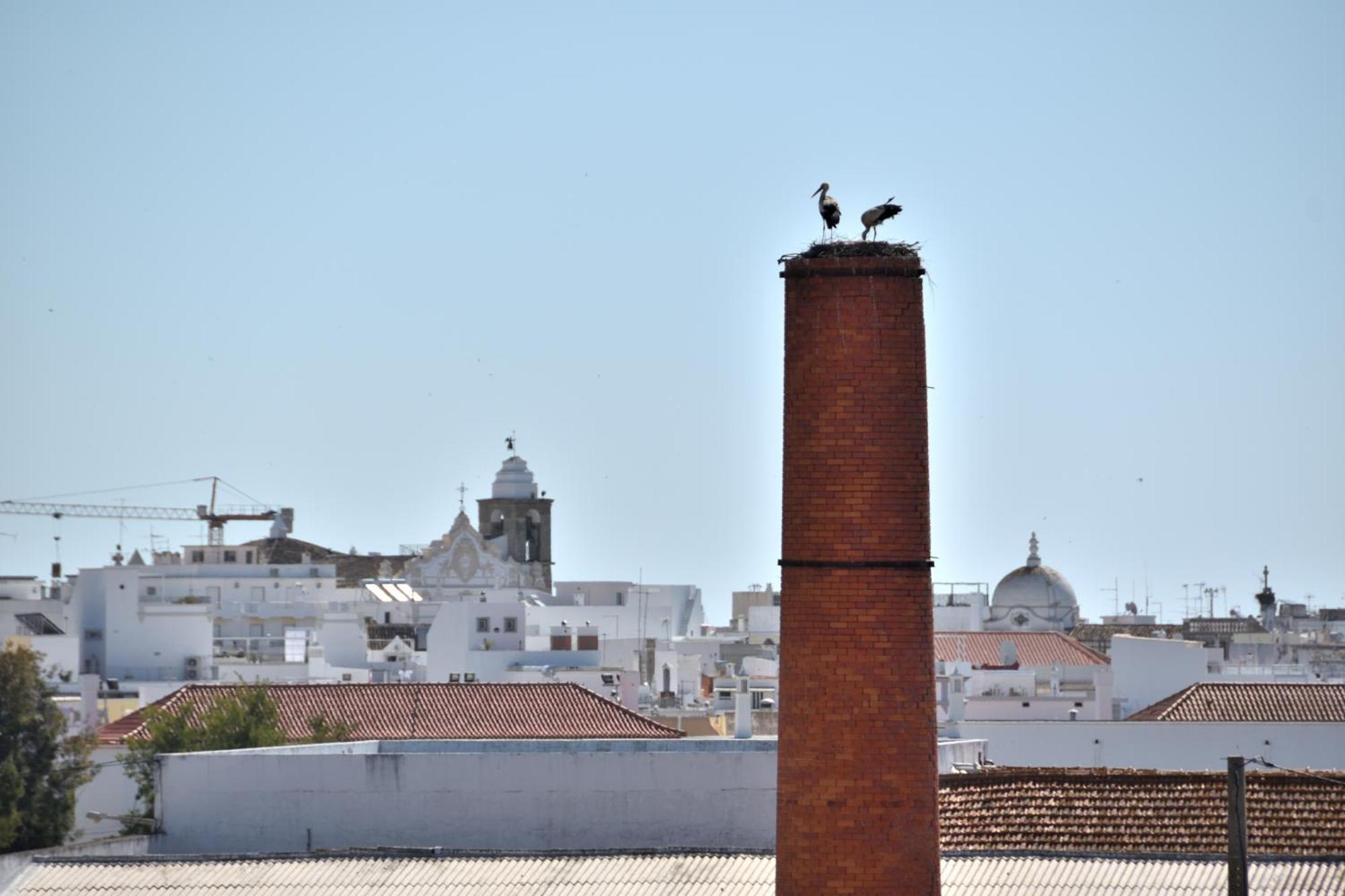 Stork Apartment Olhao Exterior photo